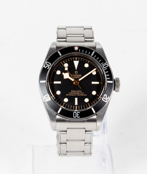 Tudor Black Bay